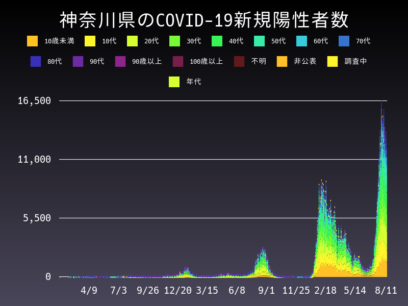2022年8月11日 神奈川県の新型コロナウイルス新規陽性者数