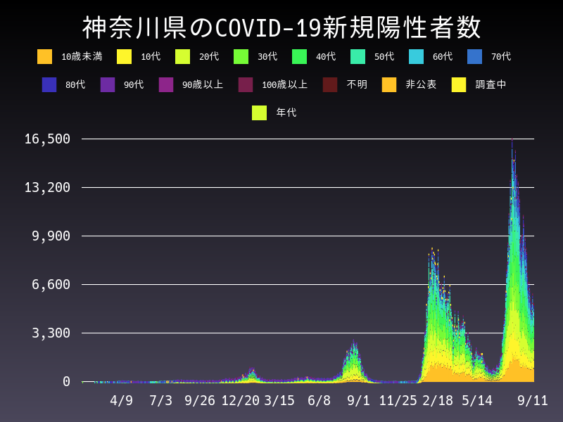 2022年9月11日 神奈川県の新型コロナウイルス新規陽性者数